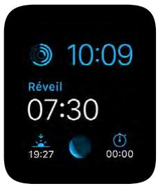 APPLE WATCH42ACICUIR - Modulaire - 1