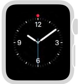 APPLE WATCH42ACICUIR - Jeter un œil aux informations utiles - 1