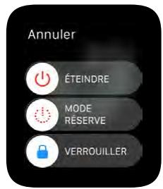 APPLE WATCH42ACICUIR - Recharger l'Apple Watch - 4