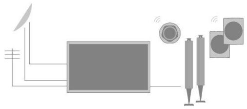 BANG AND OLUFSEN TV PRO B2BHORIZON BLACK 48 - Appareils avec sortie™ HDMI - 1