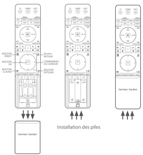 HARMAN-RARDON BDS 385S/230-B2 - Installation des piles - 1