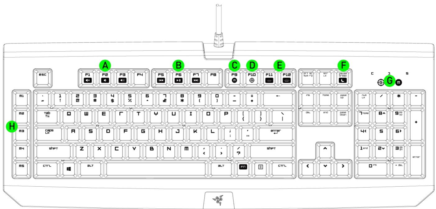 RAZER RONAN - Disposition du clavier - 1