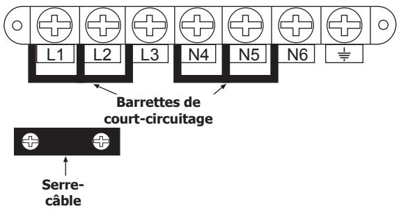 STOVES PSTGOURSOEIBLR - Branchement de l'alimentation électrique - boitier à BORNES - 1