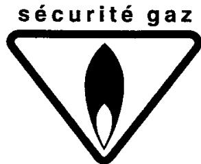 SCHOLTES CIM 556 - Les cuisinieres scholtes design & robustesse - 2