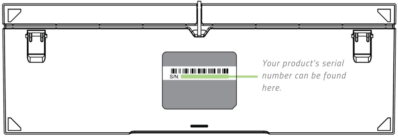 RAZER ORNATA - REGISTRATION - 1