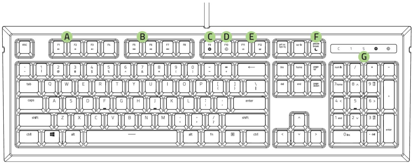 RAZER ORNATA - DEVICE LAYOUT - 1
