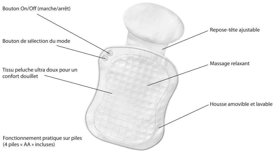 HOMEDICS BAC200M - Explication WEEE - 2