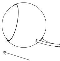 CABASSE Alcyone2SatBlcX1 - OPTION 可选安装方式 - 5