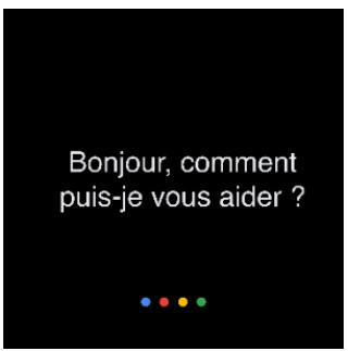 FITBIT SENSE2 - Interaction avec l'assistant google - 2