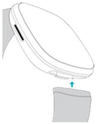 FITBIT SENSE2 - Attacher un bracelet - 1