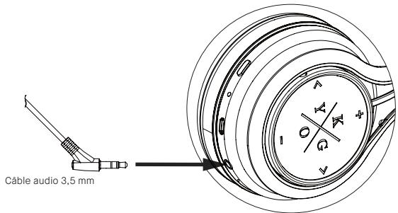 Câble audio 3,5 mm