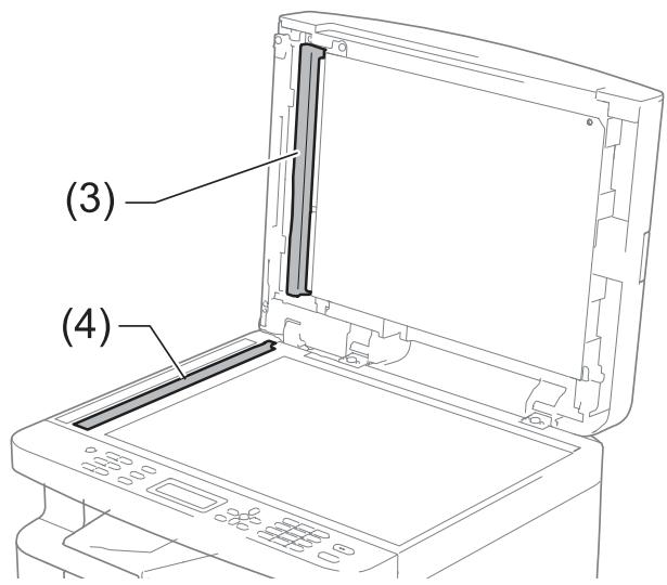 (3) (4)