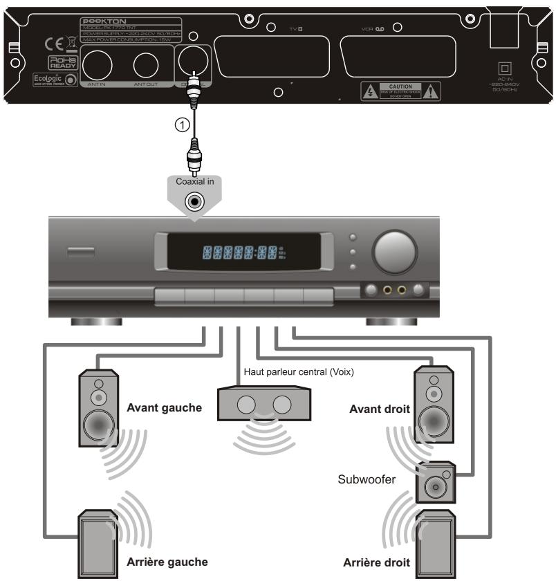 PEEKTON PK 1770 TNT - Raccordement à un ampli 5.1 - 1