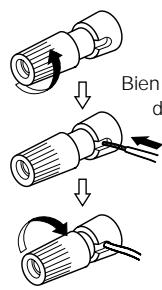 DENON DF 102 - Connexion des câbles d'enceinte - 1