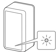 SONY SA-RS3S - Conseil - 2