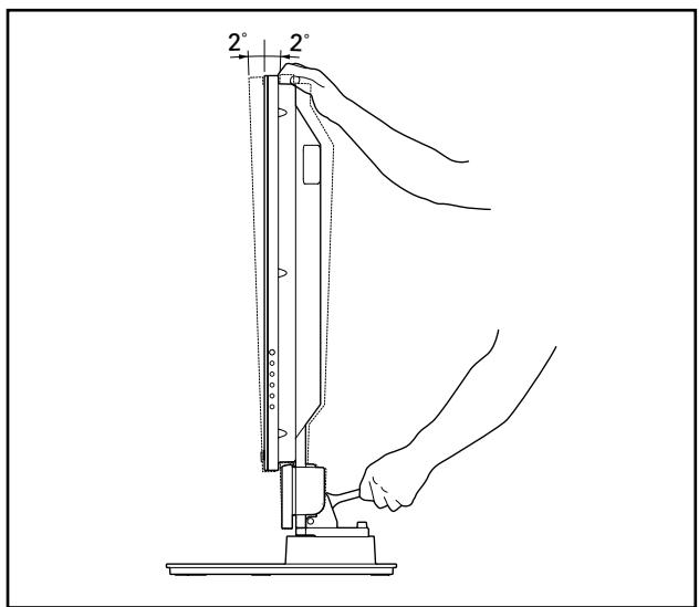 PIONEER PDK-TSO5 - Choisissez l'angle que vous préférez. - 1