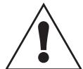 WARFEDALE Diamond 12 - Important Safety Information - 1