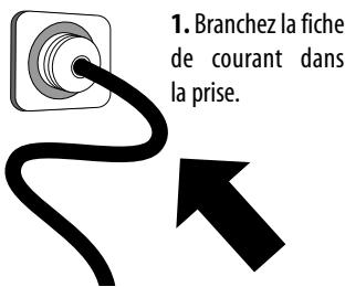 LAURASTAR COMPACT - Branchement de l'appareil - 1