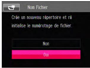 RICOH HZ15 - Copier vers carte - 3