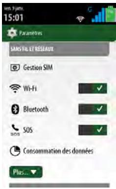 THOMSON SEREA 405 Sil - Connexion avec une carte SIM 3G - 2