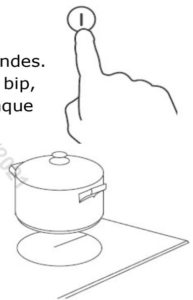 DARRYSCHNEIDER SCIH3661B - Pour commencer la cuisson - 1