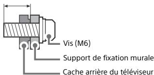 Vis (M6) Support de fixation murale Cache arrière du téléviseur