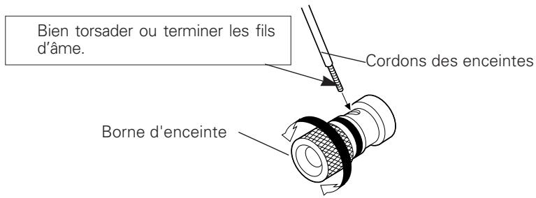 DENON PMA 1510 SIL - Connexion des enceintes - 1