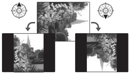FUJIFILM A800 - Rotation des images (ROTATION IMAGE) - 8