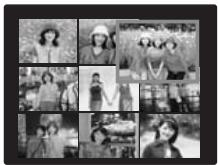 FUJIFILM A800 - Sélection d'images - 1