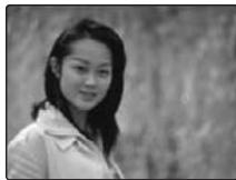 FUJIFILM A800 - Affichage de la barre de zoom - 3