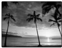 FUJIFILM A800 - Coucher SOL - 1