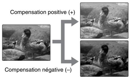 FUJIFILM A800 - Réglage de la compensation d'exposition - 2
