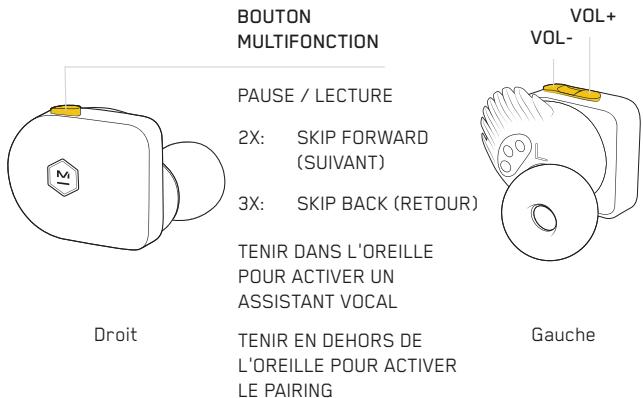 MASTER DYNAMIC eAMW07 - CONTROLES - 1