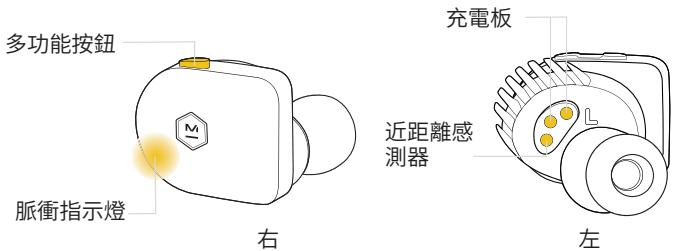 MASTER DYNAMIC eAMW07 - 配對 - 1