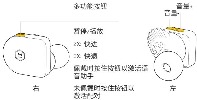 MASTER DYNAMIC eAMW07 - AJUSTE - 3