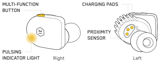 MASTER DYNAMIC eAMW07 - PAIRING - 1