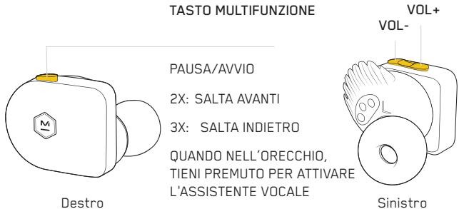 MASTER DYNAMIC eAMW07 - CONTROLLI - 1