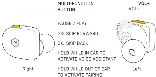 MASTER DYNAMIC eAMW07 - CONTROLS - 1
