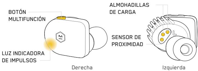 MASTER DYNAMIC eAMW07 - EMPAREJAMIENTO - 1