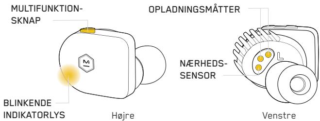 MASTER DYNAMIC eAMW07 - PARRING - 1
