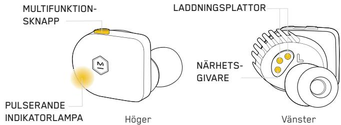 MASTER DYNAMIC eAMW07 - IHOPPARNING - 1