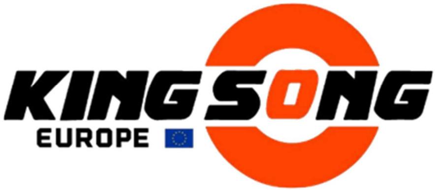KINGSONG GYROPODEee - Aftersales service - 1