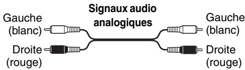 ONKYO DX-7355B - Code de couleurs des prises - 1