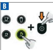 B +