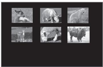 BRANDT BDVDP701 - Lecture de fichiers JPEG - 2