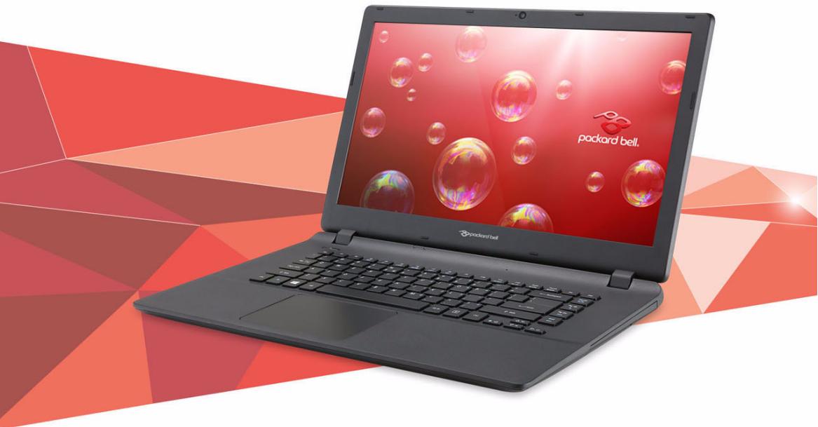 PACKARD BELL ESNY TF71BM-C4XZ - Manuel d'utilisation - 1