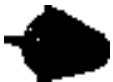 NILFISK C 125.3-8 PA - Conditions de la garantie - 9