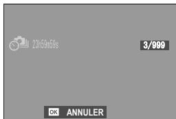 OSIAPN HYBRIDEX-PRO 3 NOIR - SAUVEG. Régl. retardateur - 3