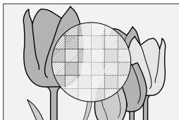 OSIAPN HYBRIDEX-PRO 3 NOIR - Assistance m/ap. - 3