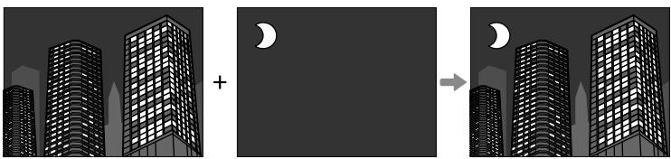 OSIAPN HYBRIDEX-PRO 3 NOIR - CTRL d'exposition multiple - 1